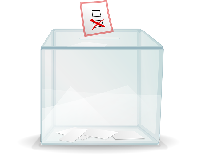 MS Poll ballot box