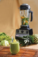 Vitamix Vitamix