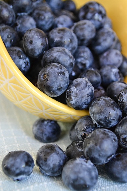 blueberries aip diet foods