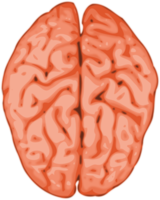blood-brain barrier