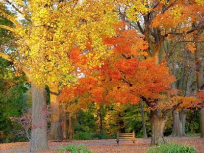 Fall   ing...
