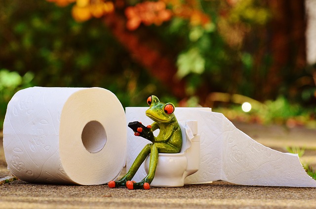 frog on toilet