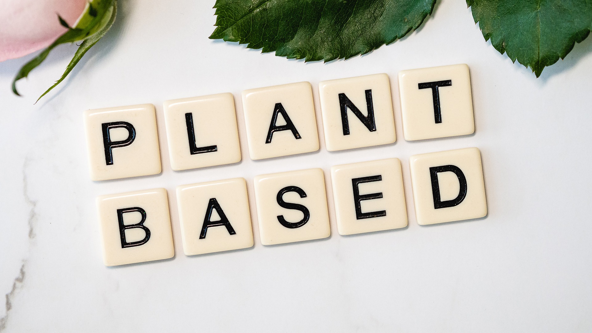 plant-based tiles