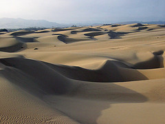 Sand Dunes photo courtesy of Mike Baird (Flickr)