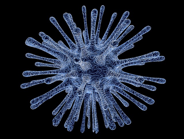 Virus Infected cell