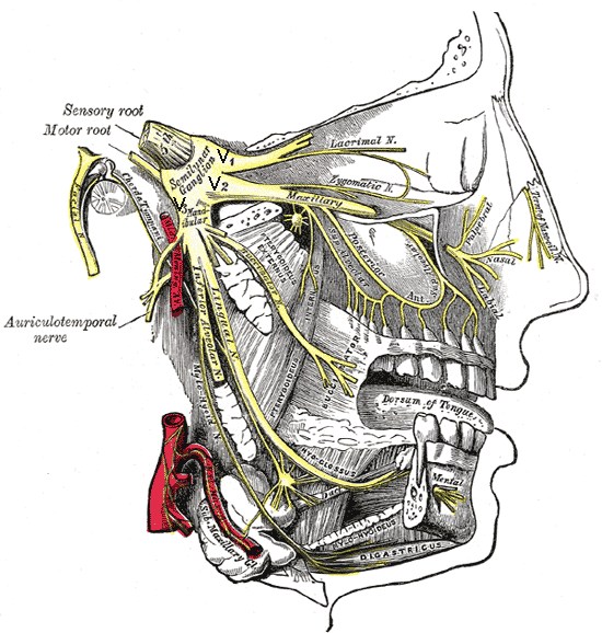 Trigeminal Neuralgia