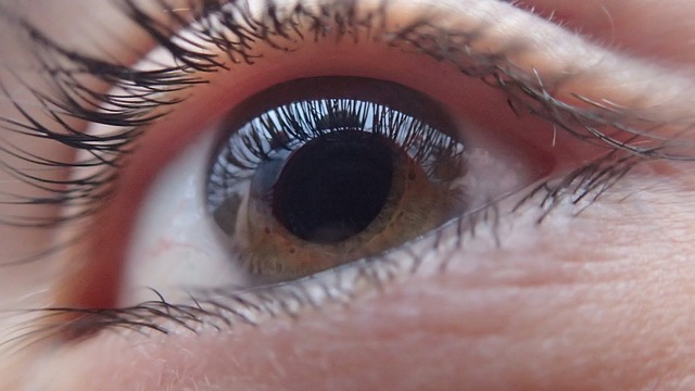 Photo of an eye close up