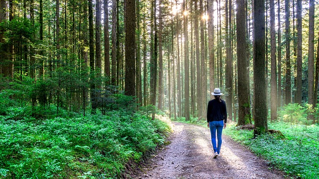 respite care - nature walk