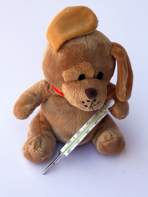 Teddy with thermometer